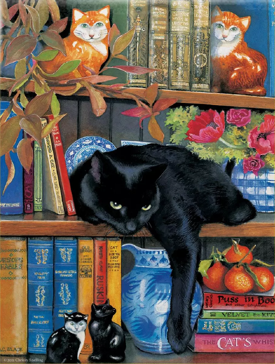 Paint by Numbers Kit Black Cat On The Bookshelf
