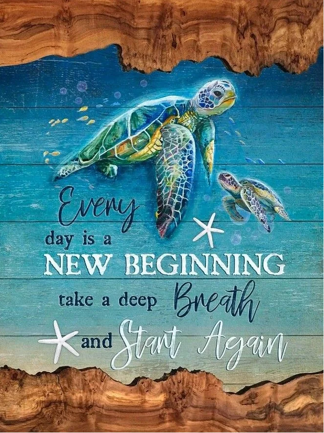 Paint by Numbers Kit Turtle