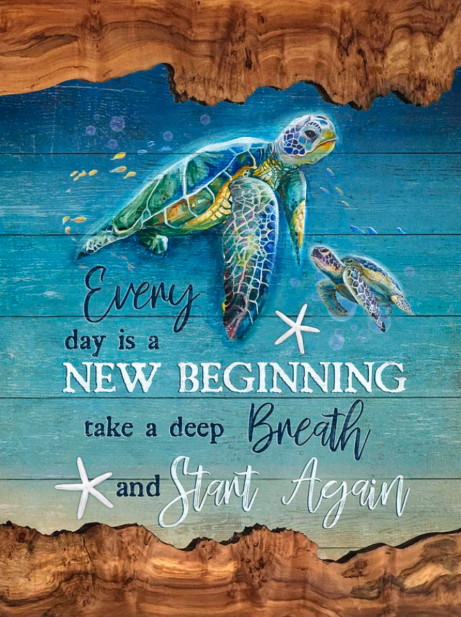 Paint by Numbers Kits Sea Turtles