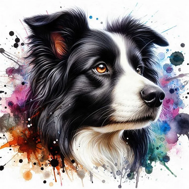 Paint by Numbers Kit Abstract Colorful Dog