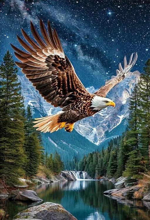 Paint by Numbers Kit Eagle