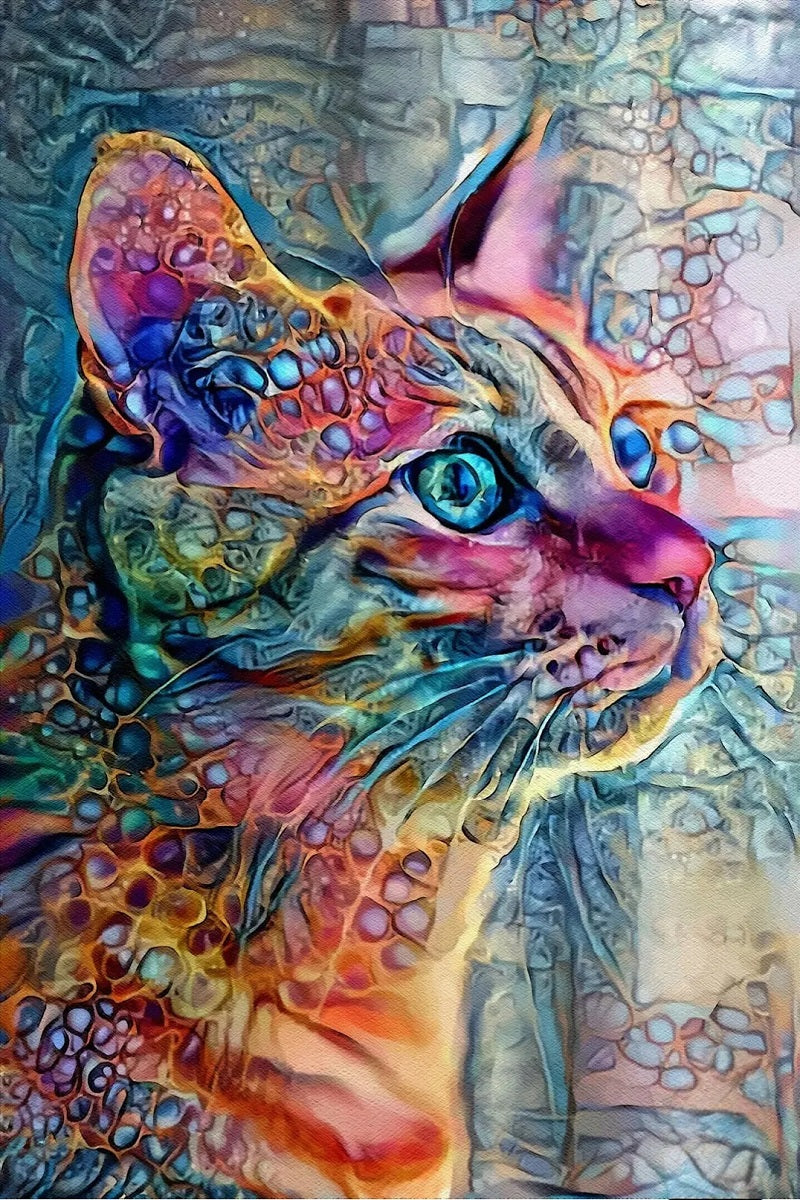 Paint by Numbers Kit Abstract Colorful Cat