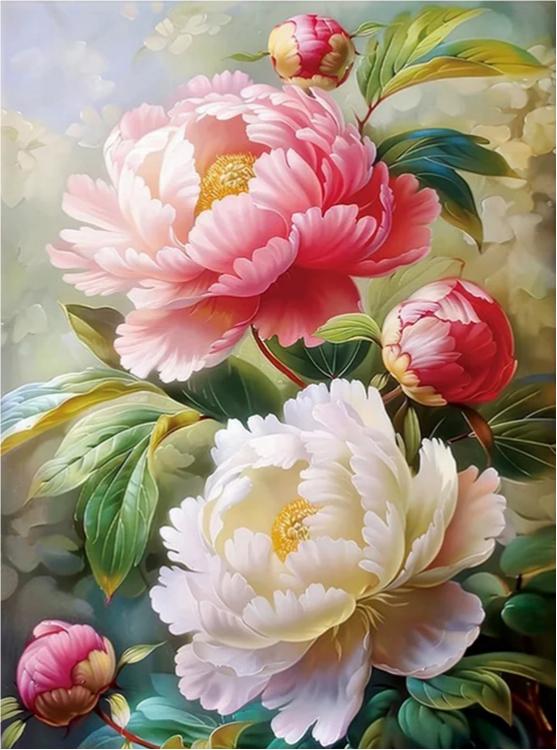 Paint by Numbers Kits Flowers