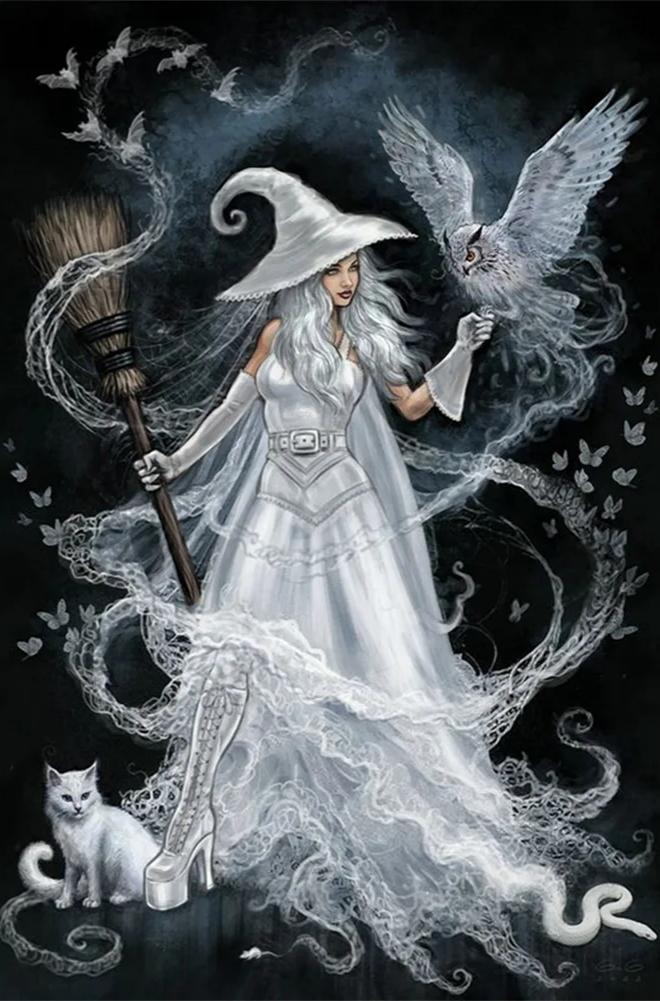 Paint by Numbers Kit Witch and Owl