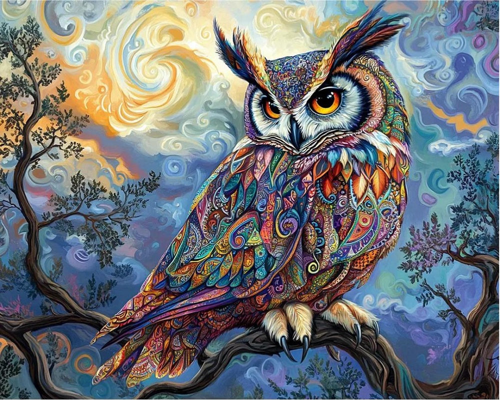 Paint by Numbers Kits Colorful Owl