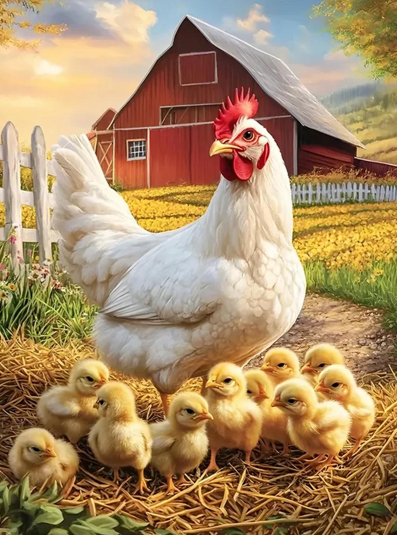 Paint by Numbers Kits Hen And Chicks