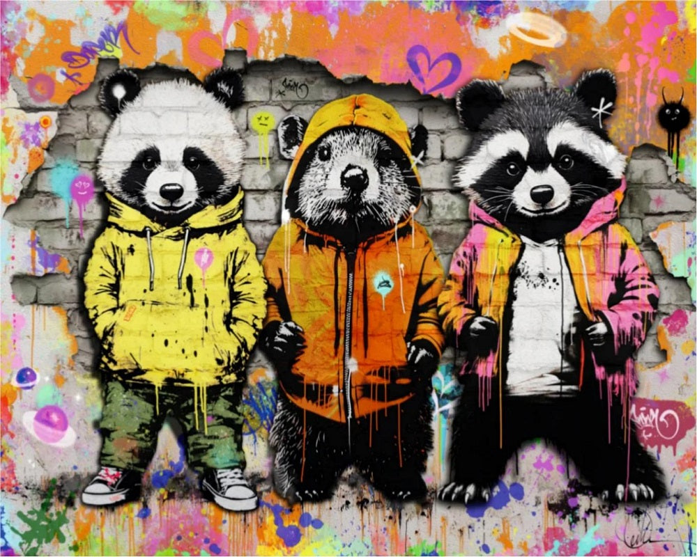 Paint by Numbers Kits Graffiti