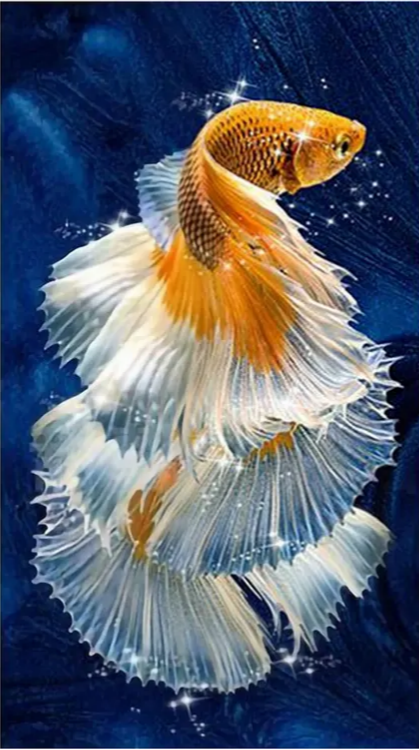 Paint by Numbers Kit Goldfish