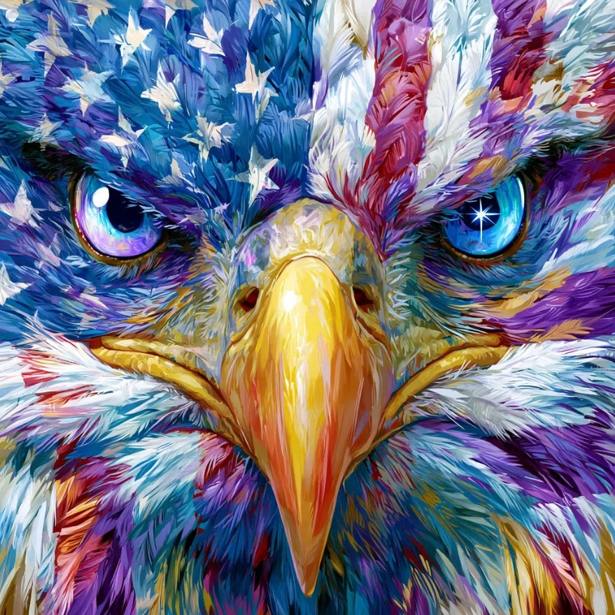 Paint by Numbers Kit Eagle
