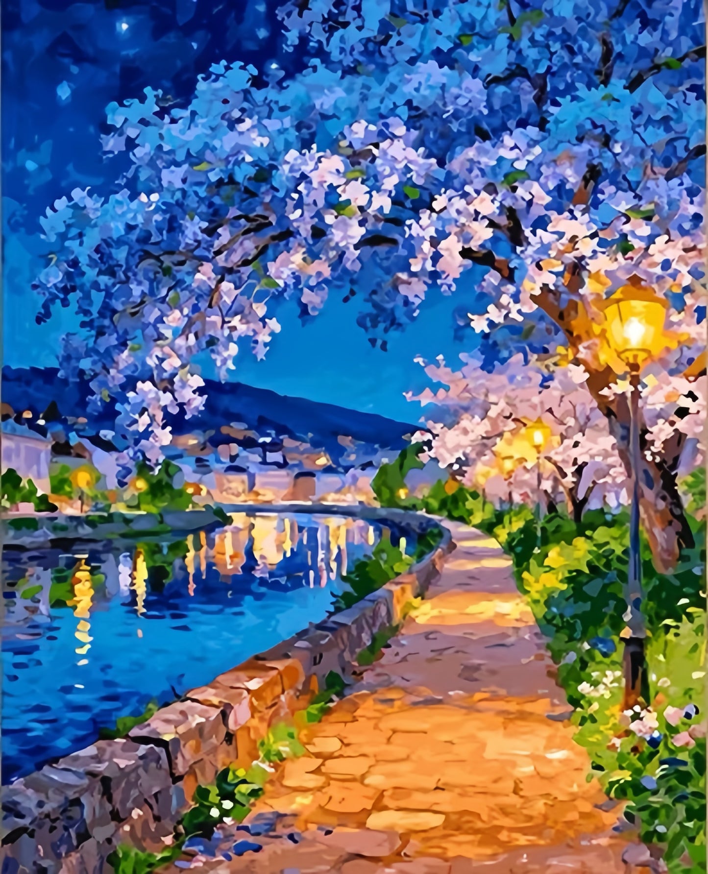 Paint by Numbers Kits Night View