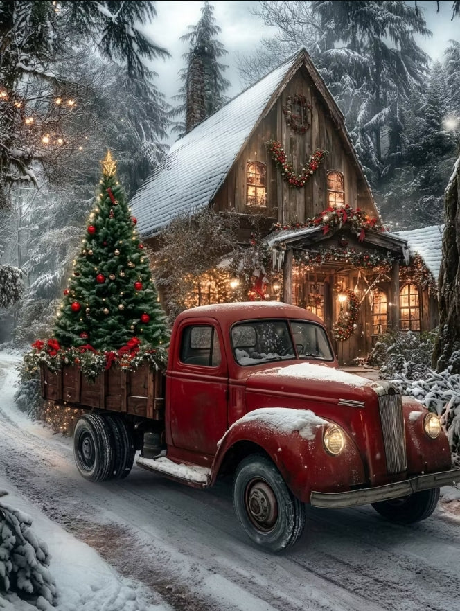 Paint by Numbers Kits Christmas