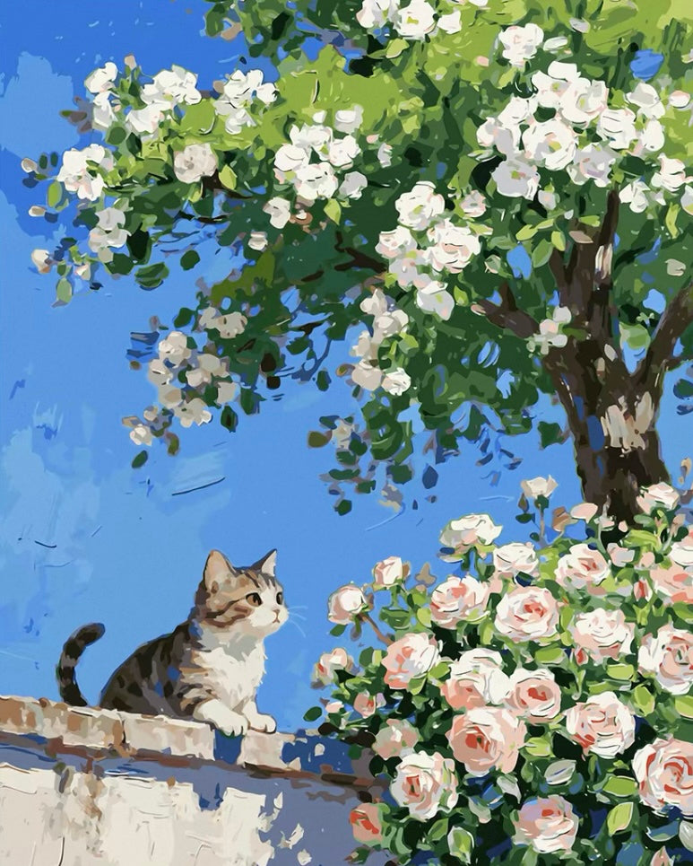 Paint by Numbers Kits Cute Kitten
