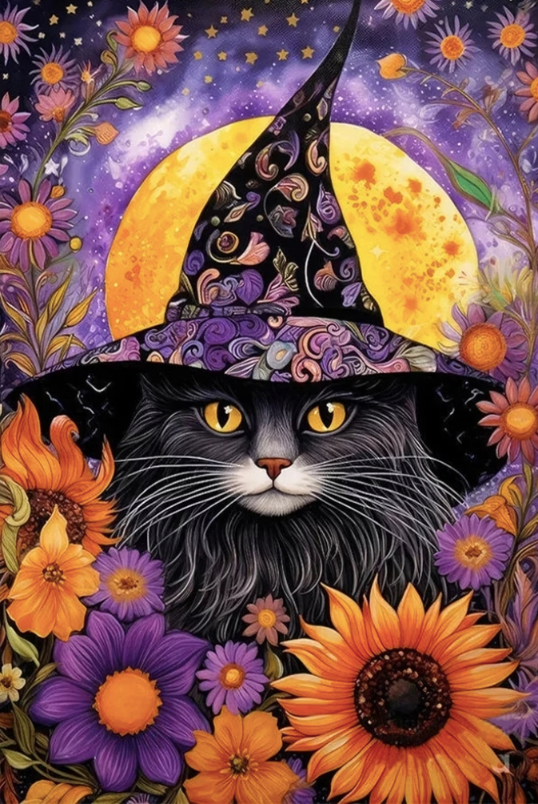Paint by Numbers Kit Witch Kitten
