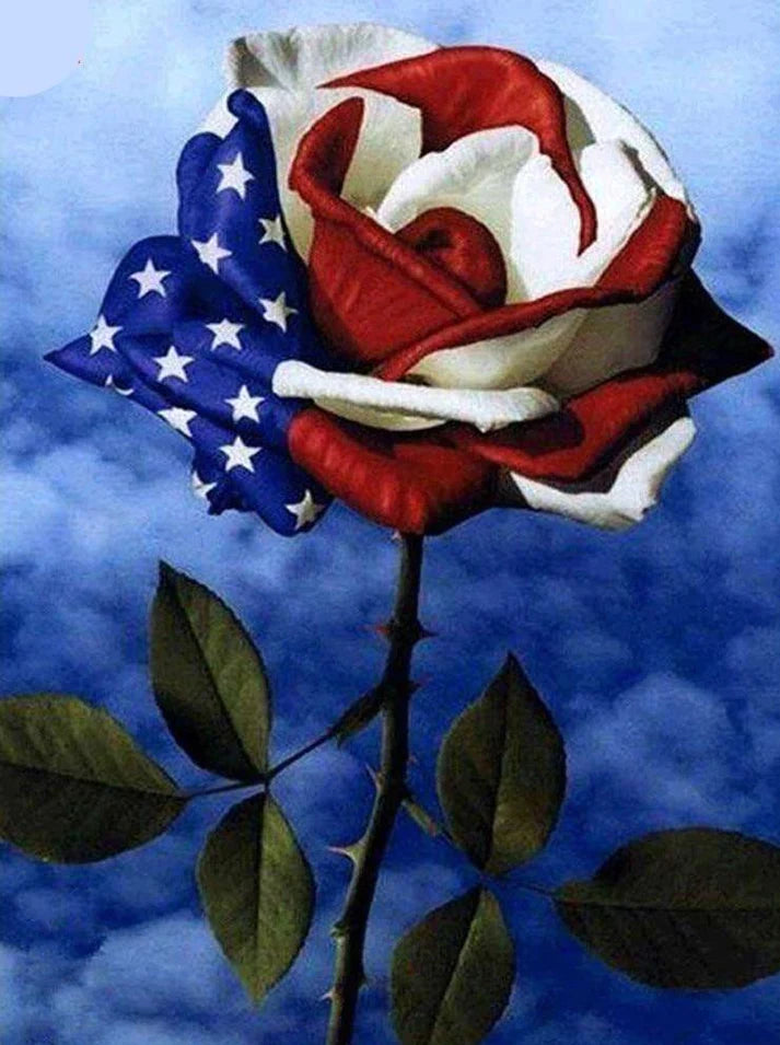 Paint by Numbers Kit Flag Rose