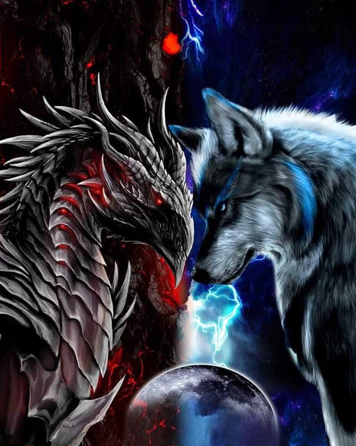 Wolf And Dragon wolf-and-dragon