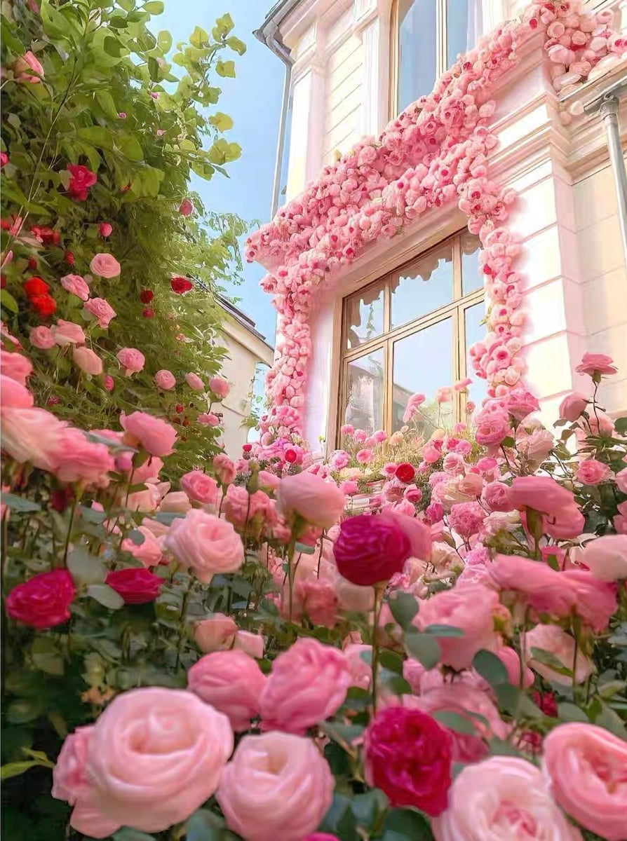 Paint by Numbers Kit Garden House