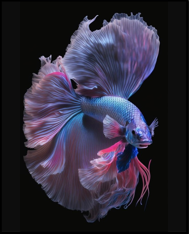 Paint by Numbers Kit Beautiful Fish