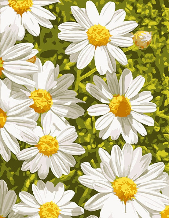 Paint by Numbers Kit White Flowers
