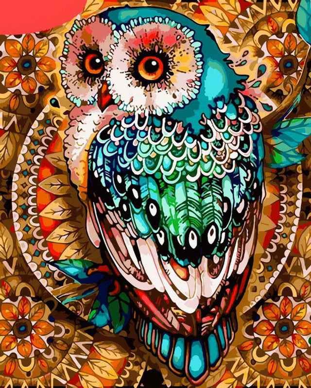 Paint by Numbers Kits Owl