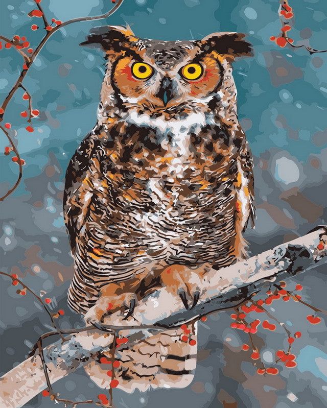 Paint by Numbers for Adults Owls 