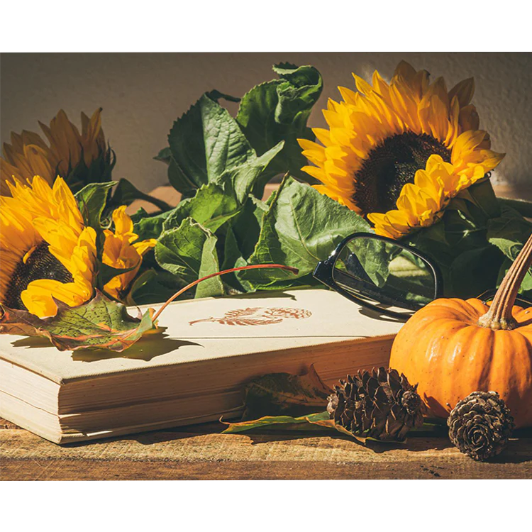 Paint by Numbers Kits Desk