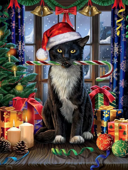 Paint by Numbers Kit Cat Wearing Santa Hat