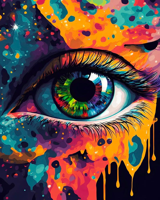 Paint by Numbers Kit Abstract Colorful Eyes