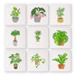 Paint by Numbers - 9 Mini Paintings | Plant Set