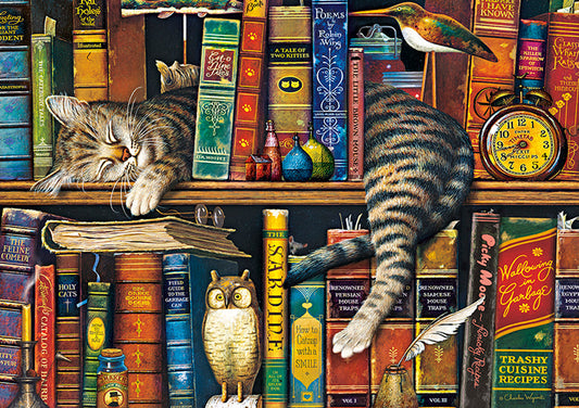 Paint by Numbers Kit Cat Sleeping On Bookcase