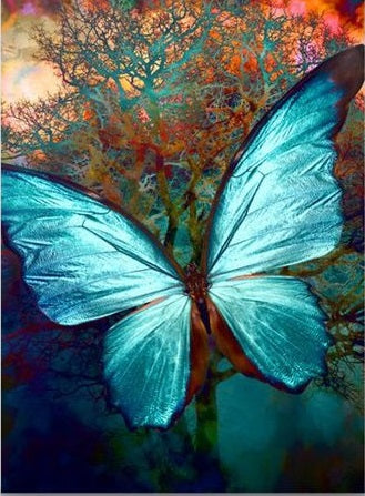 Paint by Numbers Kit Beautiful Butterfly