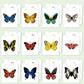 DIY Paint by Numbers Desk Calendar 2026 - Beautiful Butterflies