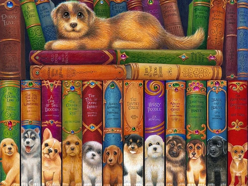 Paint by Numbers Kit Dog On The Bookshelf