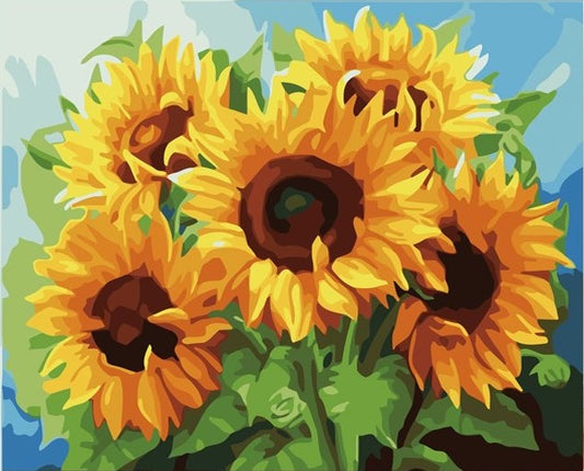 Paint by Numbers Kit Sunflower