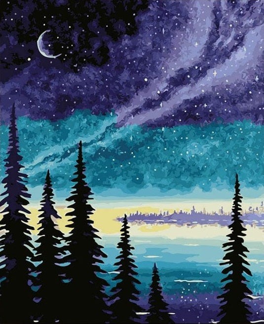 Paint by Numbers Kit Forest At Night