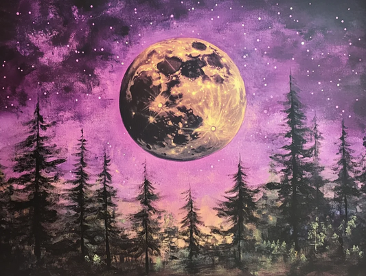 Paint by Numbers Kits Moon and Forest