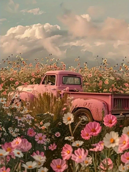 Paint by Numbers Kits Car Among Flowers