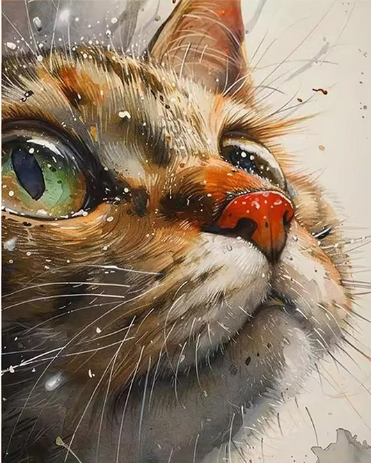 Paint by Numbers Kits Cat