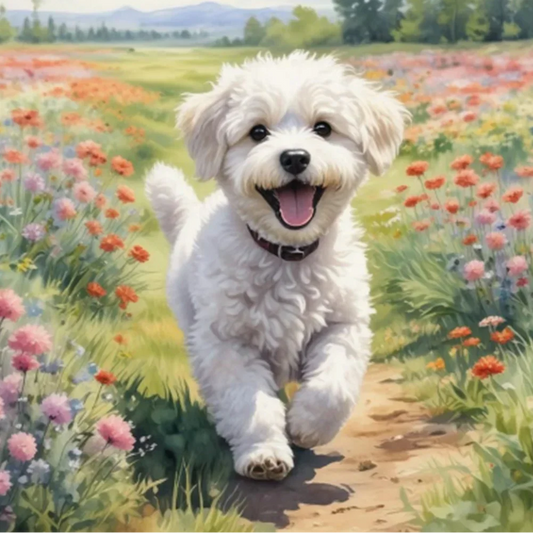 Paint by Numbers Kit Puppy