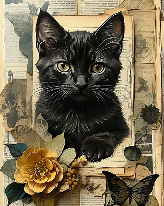 Paint by Numbers Kits Cat