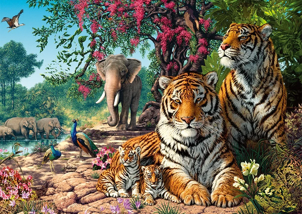 Paint by Numbers Kits Tiger