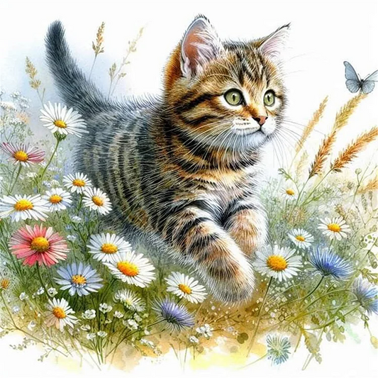 Paint by Numbers Kit Cute Kitten