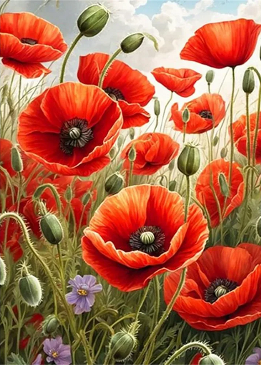 Paint by Numbers Kits Flowers