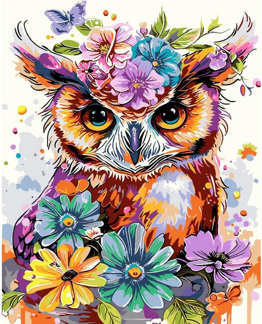 Paint by Numbers Kits Flowers Owl