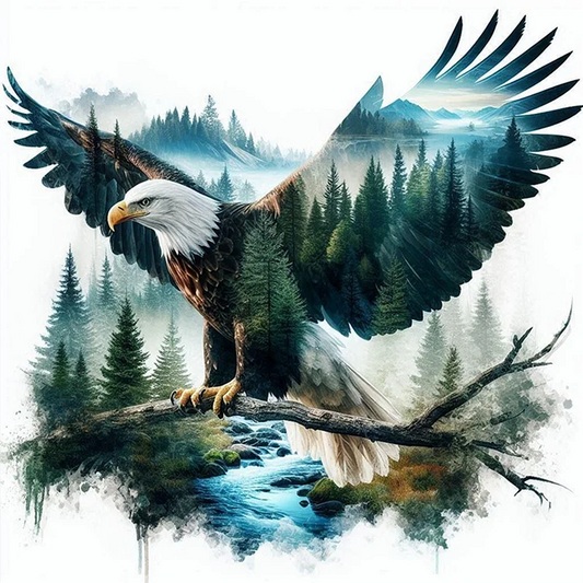 Paint by Numbers Kit Eagle