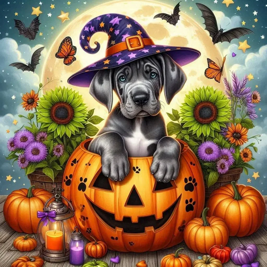 Paint by Numbers Kit Halloween Pumpkin And Dog