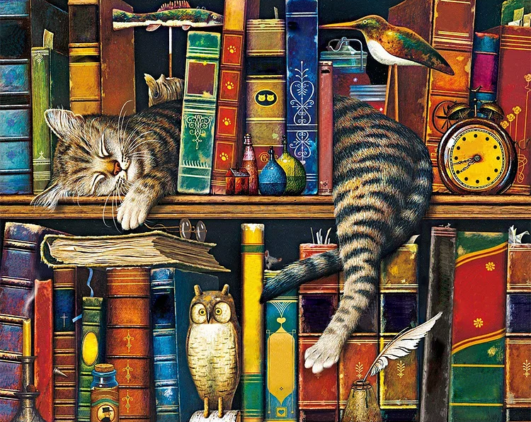 Paint by Numbers Kits Cat On The Bookshelf