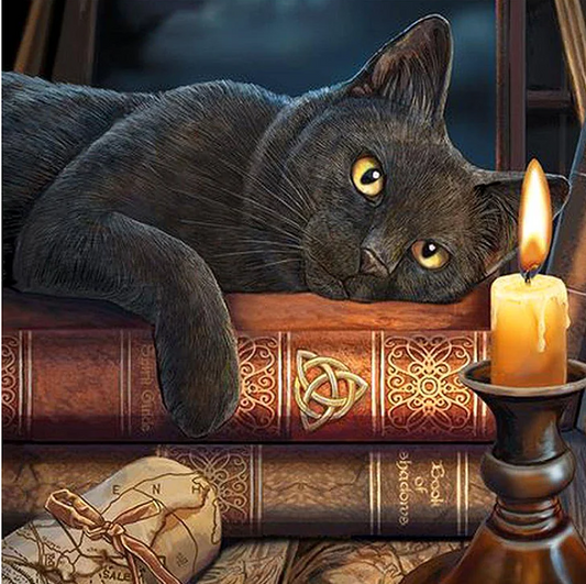 Paint by Numbers Kit Cat On The Book