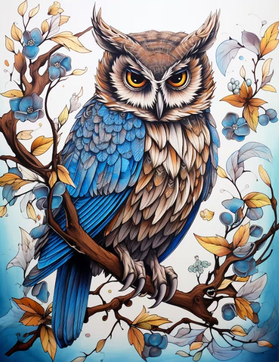 Paint by Numbers Kits Owl