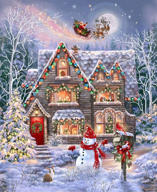 Paint by Numbers Kits Christmas