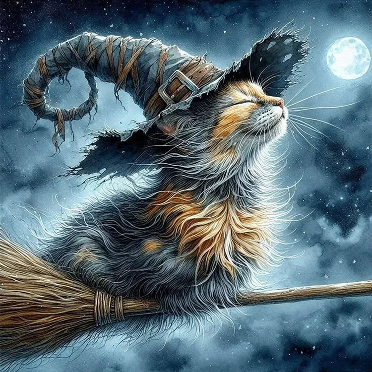 Paint by Numbers Kit Witch Cat